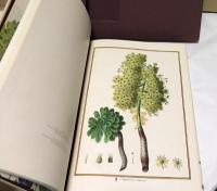英文) フランツ2世のために描かれた植物画　Florilegium Imperiale : Botanical Illustrations for Francis I. of Austria