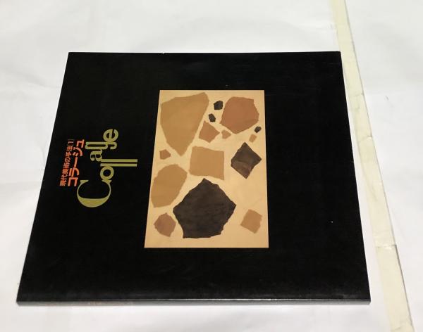 江戸の美人画 寛永・寛文期の肉筆画(小林忠、北村哲郎 執筆