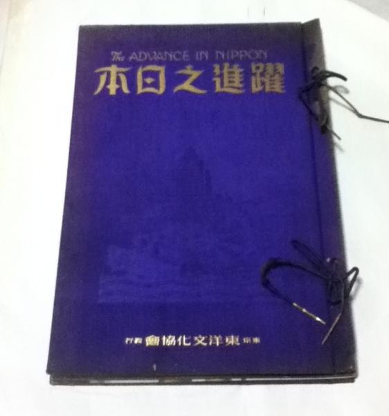 古代朝鮮・日本金石文資料集成(斉藤忠 編著) / 遊学文庫 / 古本