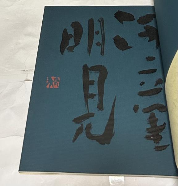 公式通販サイト - ファッション 通販 新井狼子画集 古本、中古本、古 / 遊学文庫 / 河童(新井狼子) 絵画