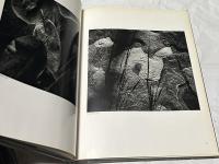 英文)ウイン・バロック写真集　Wynn Bullock : the enchanted landscape photographs 1940-1975