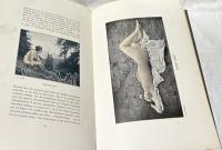 独文)絵画・写真に見る女性の美　第1巻　新訂版　Weibliche Schönheit : kritische Betrachtungen über die Darstellung des Nackten in Malerei und Photographie, Erster Band