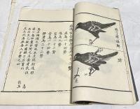 高松翎毛譜
