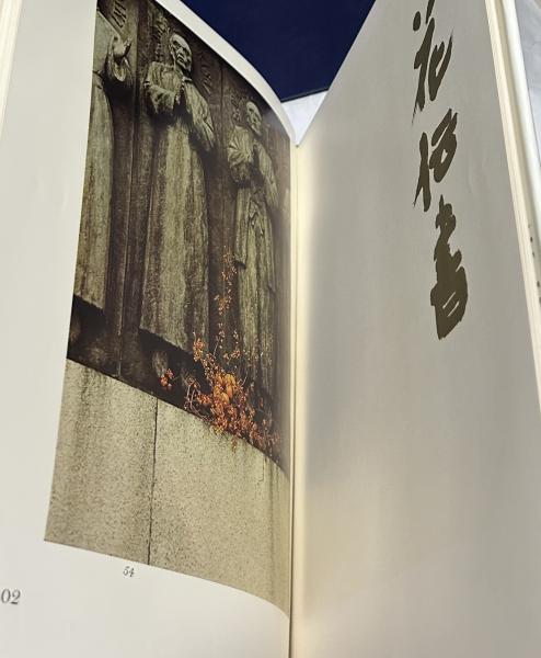 私の花(勅使河原蒼風/土門拳 撮影) / 古本、中古本、古書籍の通販は