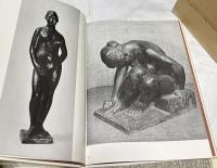 藤川勇造作品集　
