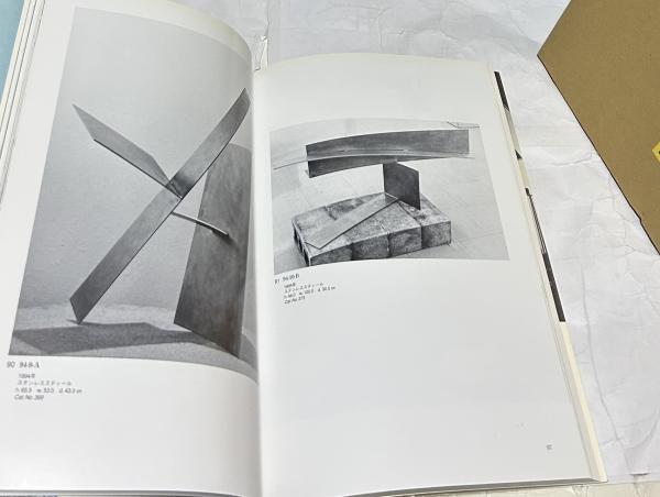 橋本正司彫刻作品集 The sculpture of Shoji Hashimoto(堀内正和
