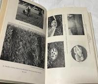 英文)芝生の科学　Turf culture
