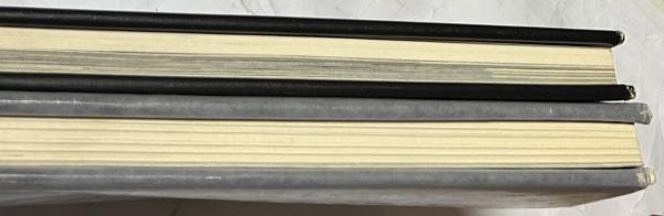 太平洋戦争名画集 2冊一括〈失われた名画集(正)＋まぼろしの名画集(続