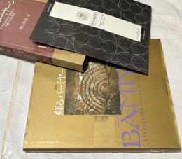 「図説 蘇るバーミヤーン - アフガニスタンに刻まれた不滅の文化遺産」樋口隆康 図説 蘇るバーミヤーン - アフガニスタンに刻まれた不滅の文化