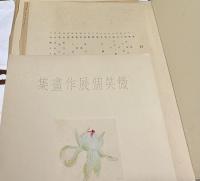 微笑個展作画集