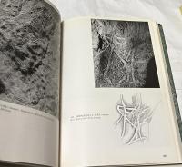 英文)永遠の現在ー美術の起源　Eternal present :  a contribution on constancy and change ; pt.1, The beginnings of architecture（The A.W. Mellon lectures in the fine arts, 1957）