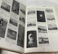 ルーマニア文)ニコラエ・グリゴレスク画集　Nicolae Grigorescu : pictură, grafică
