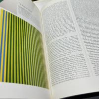 英文)色彩と文化の歴史　Color and culture : practice and meaning from antiquity to abstraction