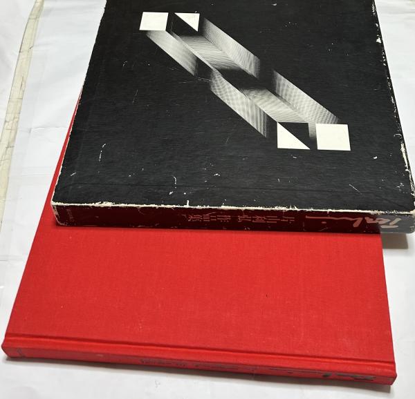 片山利弘作品集 Toshihiro Katayama : visual construction