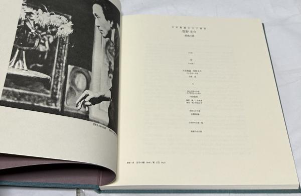 菅野圭介画集 天衣無縫の天才画家鎮魂の譜(菅野圭介(後年菅野圭哉/菅野