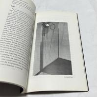 英文)生花の裏にある日本人の精神　Behind Flowers, A Young Ikebanist's Idea