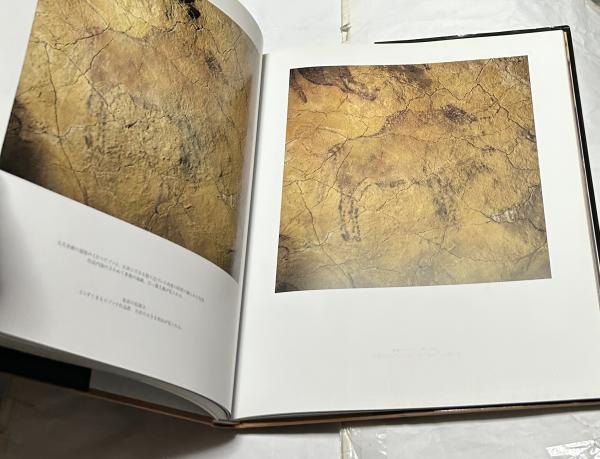 アルタミラ洞窟壁画 | ¥5,900 - 日本の古本屋 / 日本の古本屋