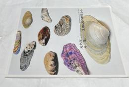 光あれ! 河口龍夫-3.11以後の世界から