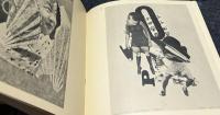 独文)ダダのフォトモンタージュ　Dada Photomontagen: Dada, Photographie und Photocollage