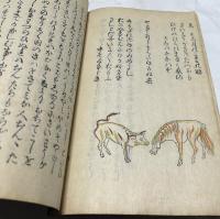 けだ物の哥合