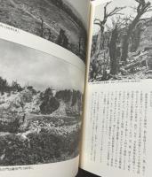 写真集 首里城