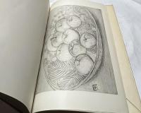 世界の素描  1957