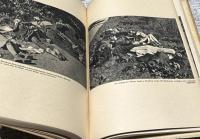 独文)ポーランド在住ドイツ人に対するポーランド人の残虐行為　Die polnischen greueltaten an den volksdeutschen in Polen: im auftrage des Auswärtigen amtes auf grund urkundlichen Beweismaterials zusammengestellt, bearbeitet und herausgegeben