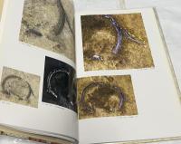 国宝　高松塚古墳壁画　壁画発見30周年記念出版 Mural-Painting in the Tumulus Takamatsu-zula