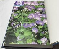 葵　合本1冊(no.66〜no.75までの10冊一括)