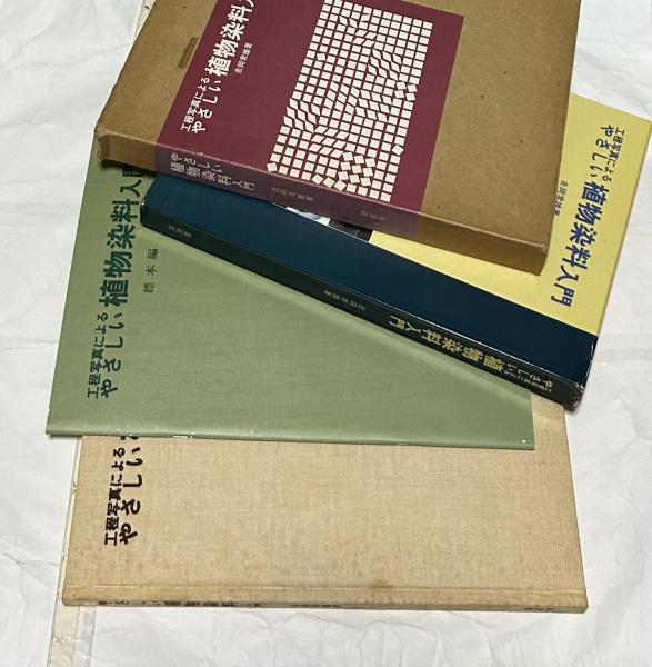 山田正亮作品集 WORKS YAMADA MASAAKI(本江邦夫等文) / 遊学文庫