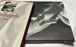 英文)アウレリオ・アメンドラ写真集　ミケランジェロ　ピエタ   Michelangelo. The Pieta. Photographs by Aurelio Amendola.