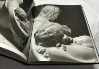 英文)アウレリオ・アメンドラ写真集　ミケランジェロ　ピエタ   Michelangelo. The Pieta. Photographs by Aurelio Amendola.