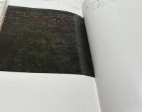 野村千春画集
