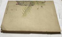 紀元二千六百年  奉祝美術展集　第1集＋第2集　