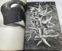 蒼風の彫刻 = Sculpture by Sofu Teshigahara 1957-1958