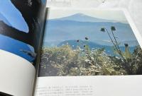 富士