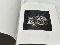 英文)平山美知子展図録　Michiko Hirayama Forging a path as a woman artist in Japan