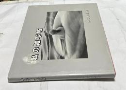 私の雑写帖