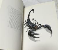 仏文)ベルナール・デュラン 昆虫細密画集　Les Insectes