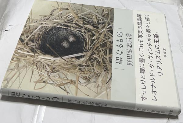 英文)パルミジャニーノ画集 Parmigianino(Cecil Gould) / 遊学