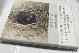 聖なるもの 野田弘志画集
