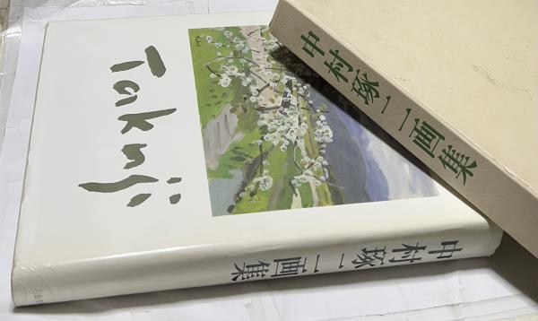 手塚雄二作品集 眩景 (中村賢一文/平山郁夫序/東京藝術大学日本