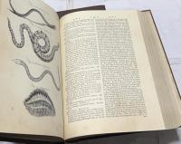英文)復刻　ブリタニカ百科事典　初版　全3冊　Encyclopedia Britannica, Authentic Replica of the First Edition , 3 Volumes.