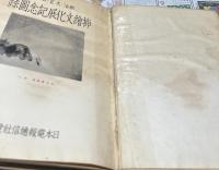 明治・大正・昭和  插絵文化展記念図録