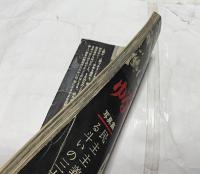ゆるせない日からの記録　写真集　民主主義を守る斗いの三十日