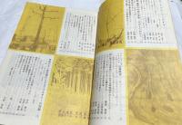 特集フォトアート No.48 現代写真の構図・徹底的研究　(第7巻第3号)
