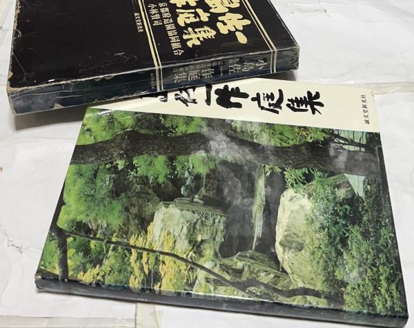 小島佐一作庭集(小島佐一 著/小林賢司 写真/京都府造園協同組合