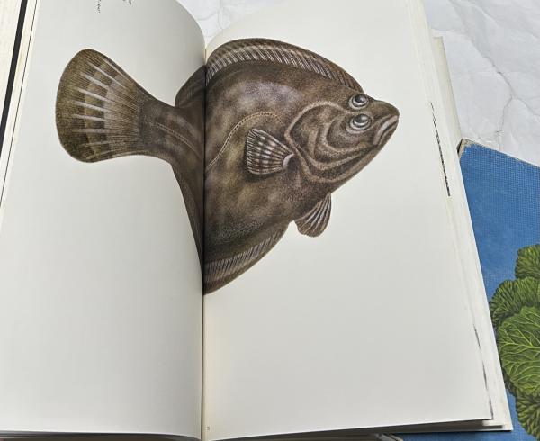 大橋正の博物誌 / 古本、中古本、古書籍の通販は「日本の古本屋