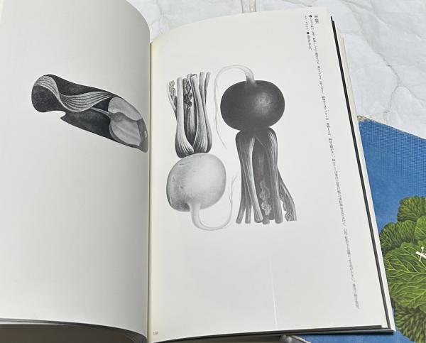 大橋正の博物誌 / 古本、中古本、古書籍の通販は「日本の古本屋