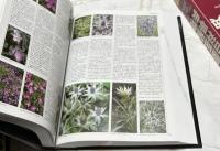  A-Z 園芸植物百科事典　RHS A-Z encyclopedia of garden plants